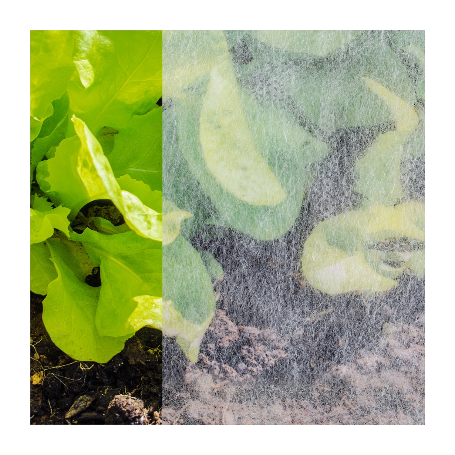 Agrotekstil 4,00x100m-18g/m2-Rito