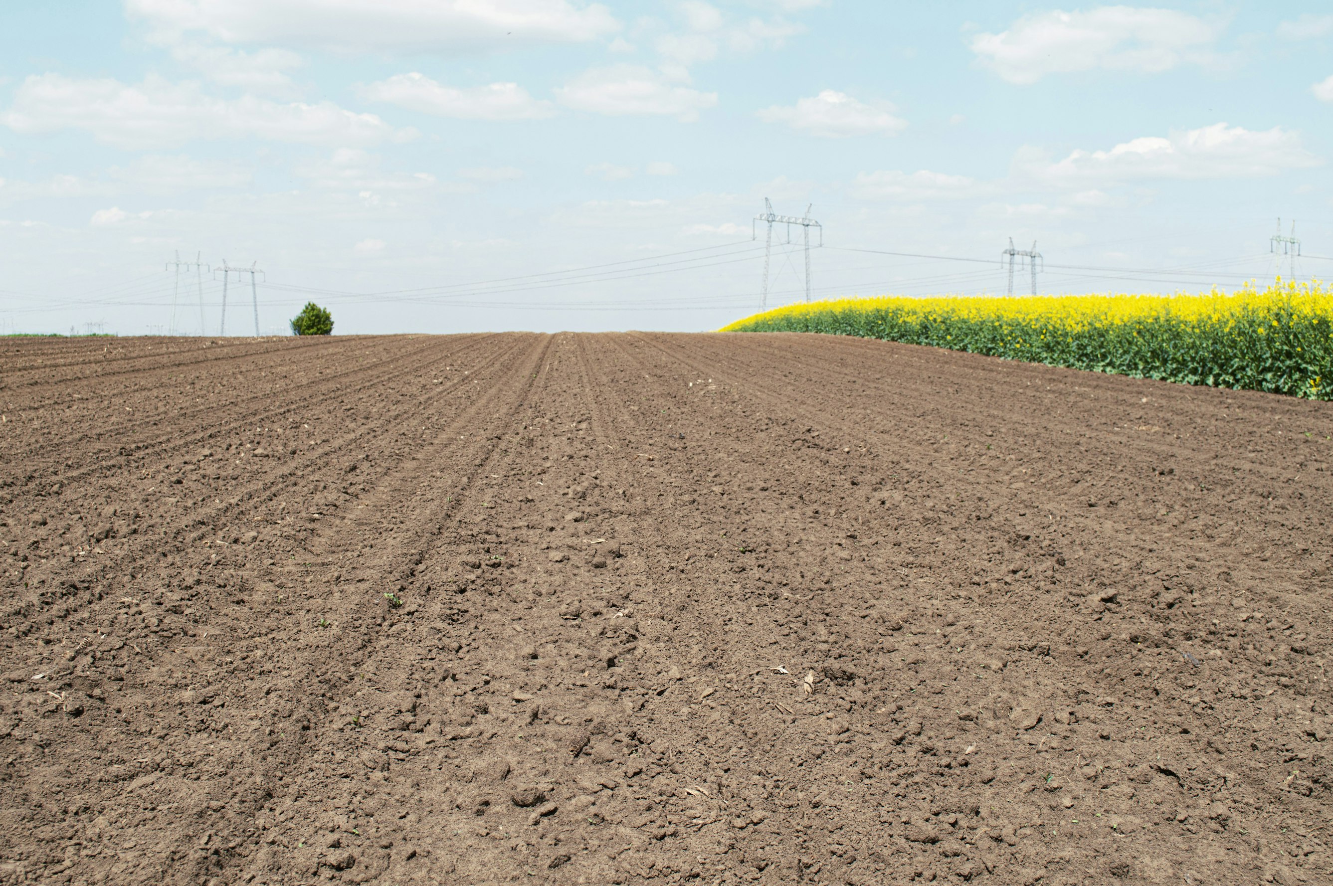 Proljetna gnojidba - Kako pripremiti tlo za novu sezonu
